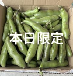 新潟県産 空豆 新鮮 朝採り - メルカリ