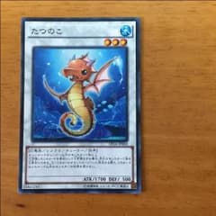 遊戯王 タツノコ 最安値！のサムネイル