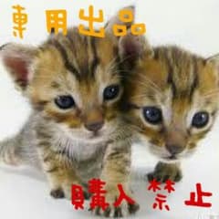 ♡ちい☆プロフ必読様専用♡のサムネイル