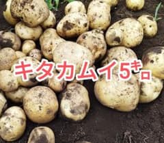キタカムイ 5kg 大中小ミックス　土付きのサムネイル