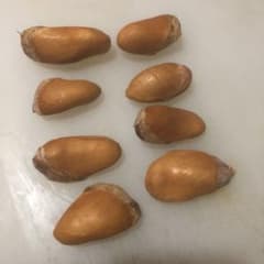 榴莲の種，ドリアンの種8个（発芽間近）のサムネイル