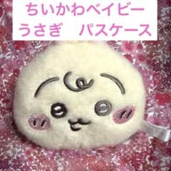 Brand new plush pass case pouch, rabbit design, by Chiikawa Baby.