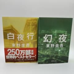 幻夜、白夜行のサムネイル