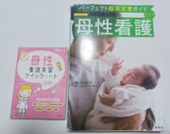 母性看護 パーフェクト臨床実習ガイド 母性看護実習　クイックノート　プチナースのサムネイル
