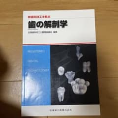 歯の解剖学のサムネイル
