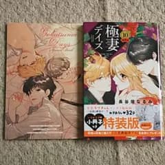 漫画『極妻デイズ』10巻【特装版】長谷垣なるみ《特製小冊子付き》帯