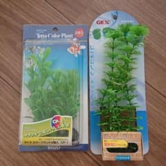 人口水草のサムネイル