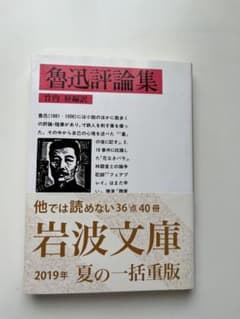 魯迅評論集 竹内好 岩波文庫 2019年版のサムネイル