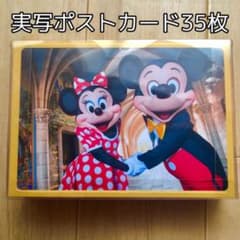 ディズニー　ポストカード　実写　ミッキー　TDL TDSのサムネイル