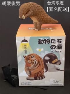 朝隈俊男　動物たちの涙【台湾限定】　　　　　　ミミセンザンコウ【匿名配送】のサムネイル