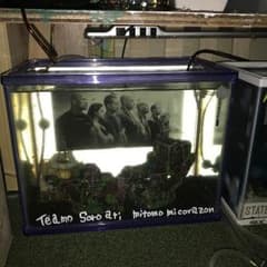 水槽30cmのサムネイル