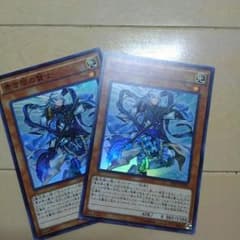 [りん様専用]青き眼の賢士×2のサムネイル