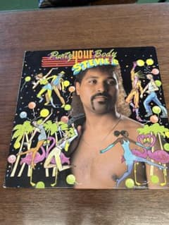 Stevie B Party Your Body アナログレコードのサムネイル
