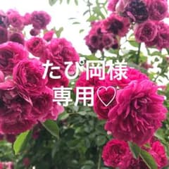 たぴ岡様専用です！のサムネイル
