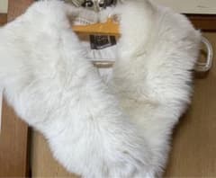 着物用ショールのサムネイル
