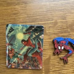 USJ Limited Edition SPIDER-MAN Pin Badge Set (2 types)