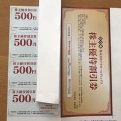 ゲオホールディングス　株主優待割引券のサムネイル