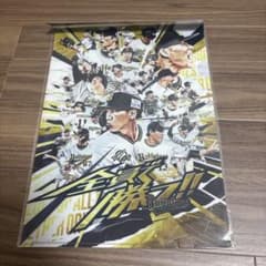 オリックス・バファローズ 2022 クリアファイルのサムネイル