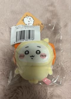 치이카 와다라케쿠지 D상 시서