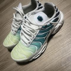 Nike Air Max PLUS グラデーションカラー (W26.5)のサムネイル