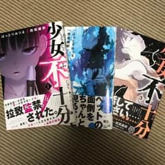少女不十分のサムネイル