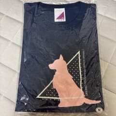 乃木坂46 北野日奈子 卒業コンサート Tシャツ Mのサムネイル