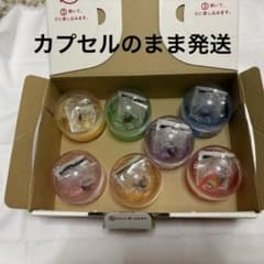 ✳︎なにわ男子　めじるしチャーム　ドームグッズ　全員　コンプリート　7個 なにわ男子 めじるしチャーム ドームグッズ 全員 コンプリート 7個