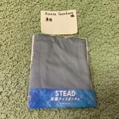 STEAD 冷感アイスボンチョ グレー（ブルー）のサムネイル