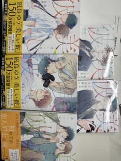 美しい彼 1巻〜5巻セットのサムネイル