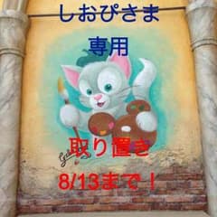 しおぴさま専用 お取り置き8/13までのサムネイル