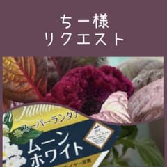 ちー様 リクエスト おまとめ2点（3苗） - メルカリ