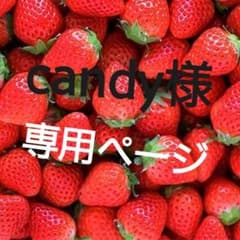 夏目友人帳 ポストカード 2枚のサムネイル