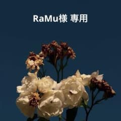 RaMu様専用のサムネイル