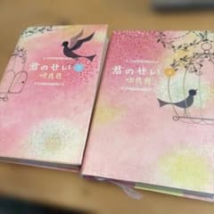君のせい 上下巻セット 咲良色のサムネイル