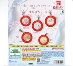 LIL ala mode めじるしアクセサリー3 全5種 コンプリートのサムネイル