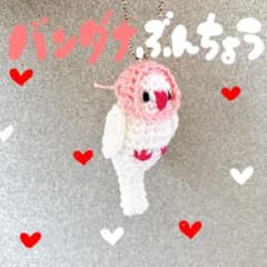 バンダナをつけた文鳥のサムネイル