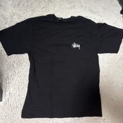 STUSSY Tシャツ バックプリント ステッカー2枚付きのサムネイル