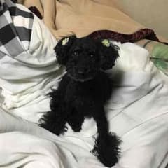 ゆいさん専用のサムネイル