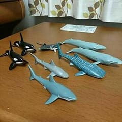カロラータ社製フィギュアのサムネイル