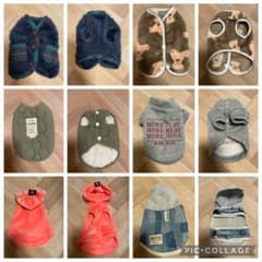 緊急お値下げ！秋冬 犬服6点セット サイズ:XSのサムネイル
