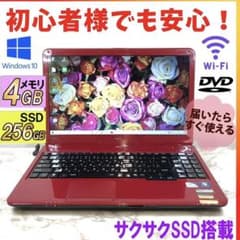 ジャンク品SSD♪即利用OK♪普段使いに♪NEC♪LS150D♪のサムネイル