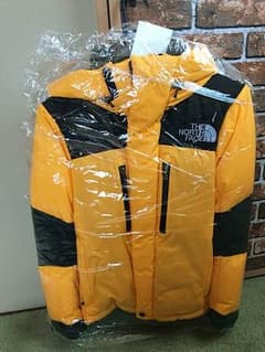 値下可 The North Face バルトロライトのサムネイル