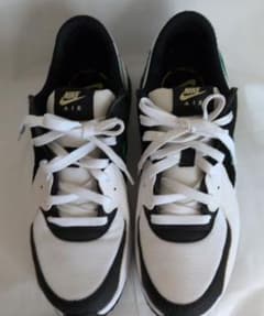[NIKE] Sneakers 26.5cm