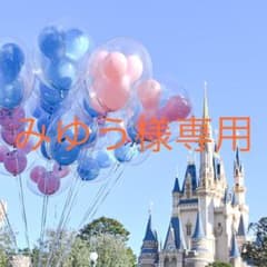 みゆう様専用のサムネイル