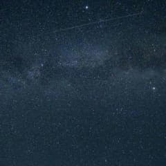 みー様専用のサムネイル