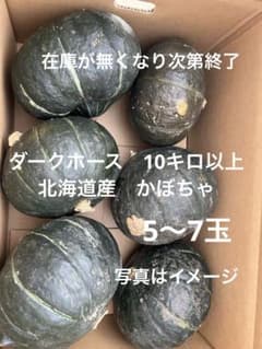 かぼちゃ 箱込み約10キロ以上のサムネイル