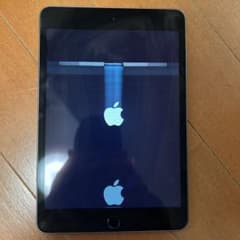 [画面不良]iPad mini 第5世代　ジャンク ジャンク】iPad mini 第5世代 64GB 液晶不良 タッチO - メルカリ