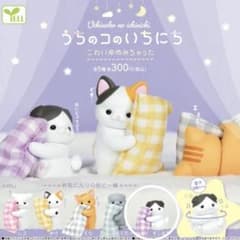 익명 배송/우리 코의 일에 ~ 와이유메미 버렸다 ~ / 스코 하치