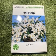 セロジネのサムネイル