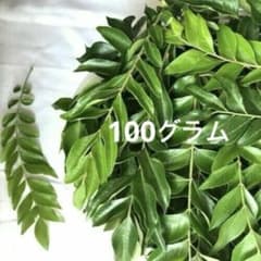 新鮮なカレーリーフ100グラムのサムネイル